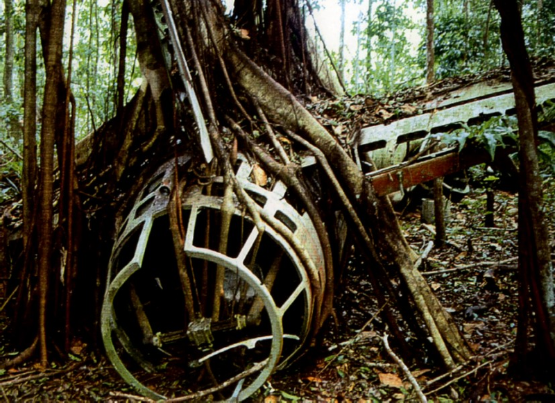 Illustration for article titled Real-Life Lost Relic Found Over and Over Again